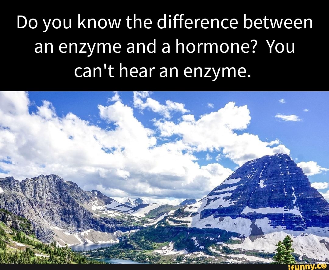 Do you know the difference between an enzyme and a hormone? You can't