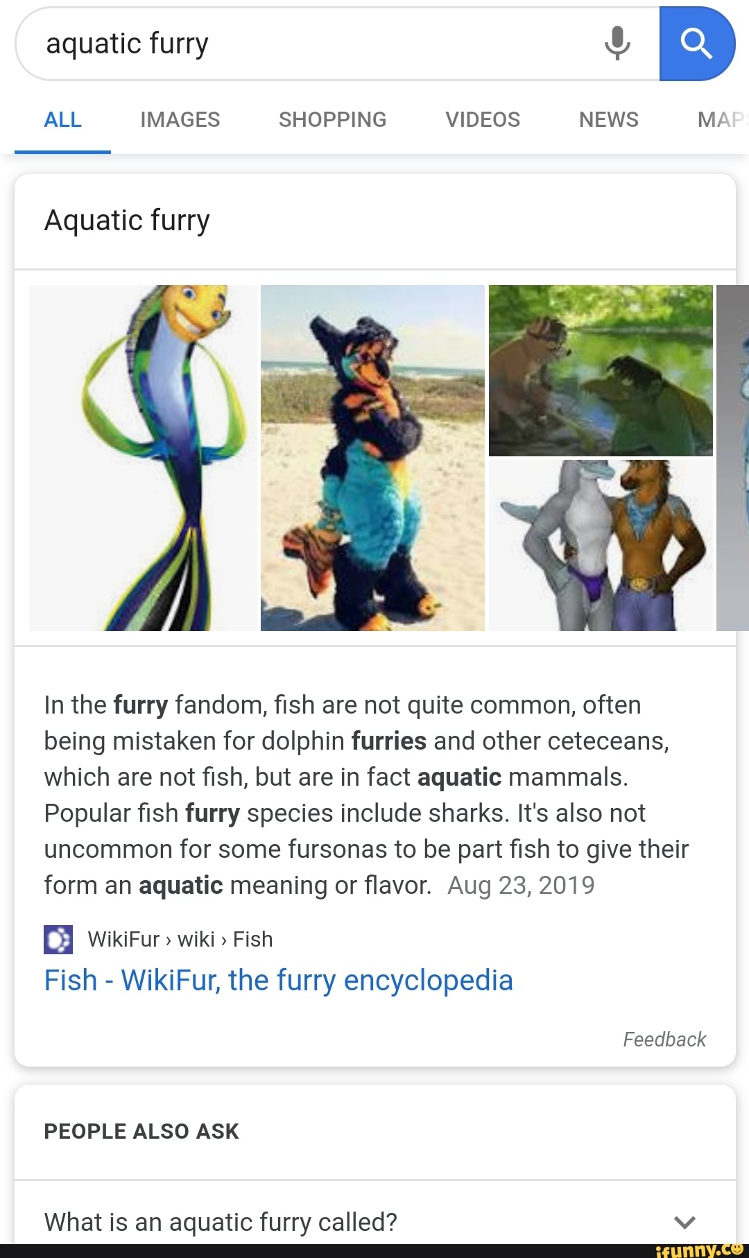 Aquatic Furry In The Furry Fandom Sh Are Not Quite Common Often