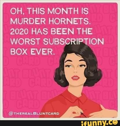 OH, THIS MONTH IS
MURDER HORNETS.
2020 HAS BEEN THE
WORST SUBSCRIPTION
BOX EVER.