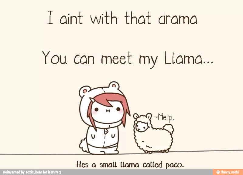 1 aint with that drama
You can meet my Llama...
Hes a small llama called paco.