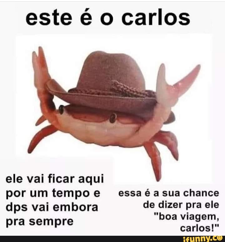 este é o carlos
ele vai ficar aqui por um tempo e essa sua chance dps vai embora de dizer pra ele
"boa viagem, pra sempre carlos!"