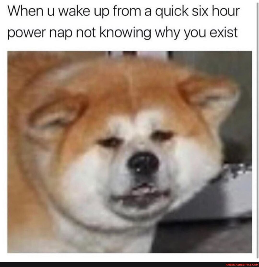 When u wake up from a quick six hour power nap not knowing why you exist