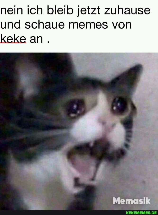 nein ich bleib jetzt zuhause und schaue memes von
Memeasik
an