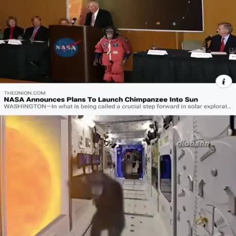 Nasa Announces Plans To Launch Chimpanzee Into Sun