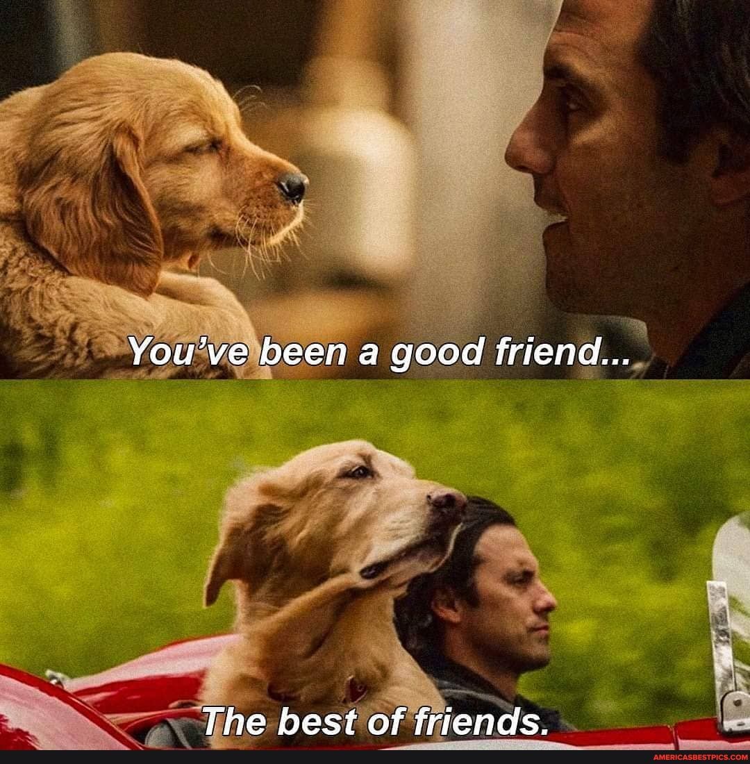 You've been a good friend...
The best of friends.