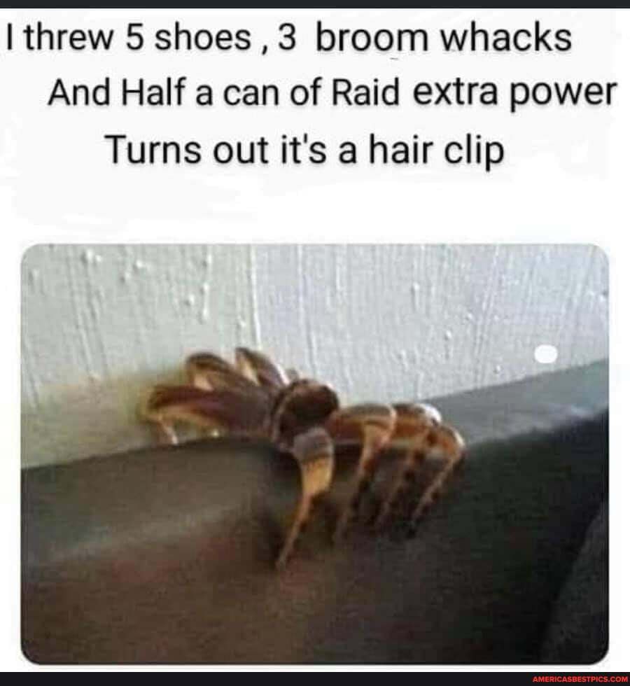 threw 5 shoes ,3 broom whacks
And Half a can of Raid extra power
Turns out it's a hair clip