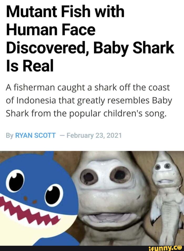 Baby Shark Is Real! Indonesian Fisherman Catches Mutant That's