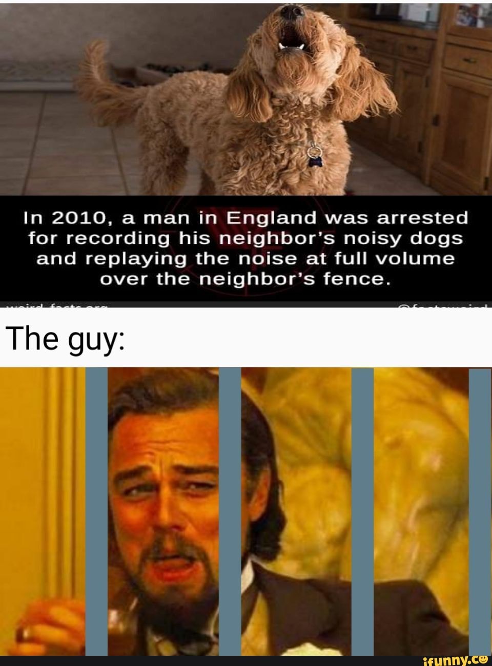In 2010, a man in
In 2010, man in England was arrested
for recording his neighbor's noisy dogs and replaying the noise at full volume over the neighbor's fence.
The guy:
