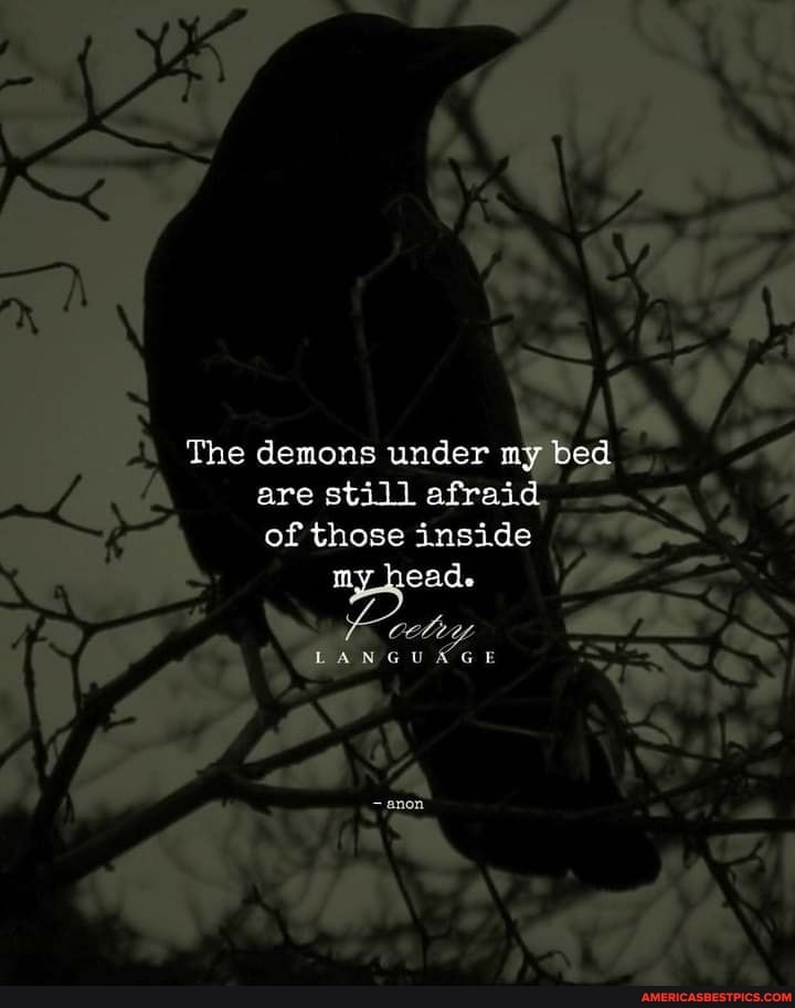 The demons under my bed are still afraid of those inside
my head.
LANGUAGE