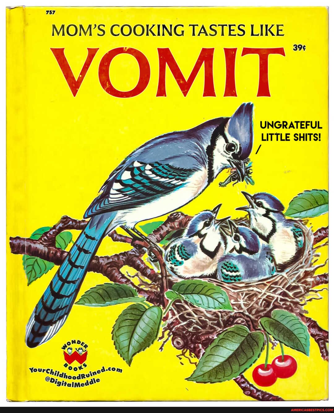 757
MOM'S COOKING TASTES LIKE
VOMIT
UNGRATEFUL LITTLE SHITS!
Cot L