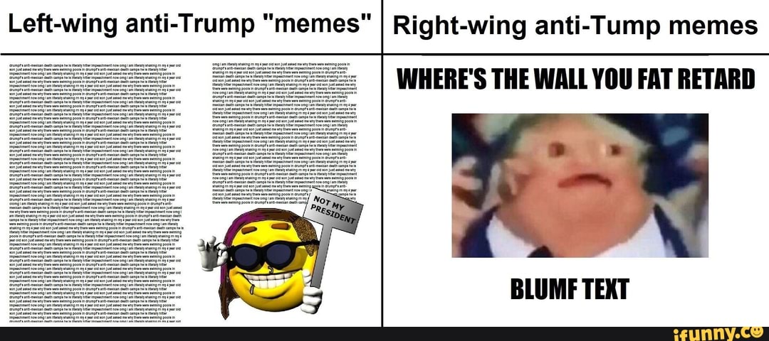 Left Wing Anti Trump Memes I Right Wing Anti Tump Memes Where S The Wall You Fat Retard Blumf Text Ifunny