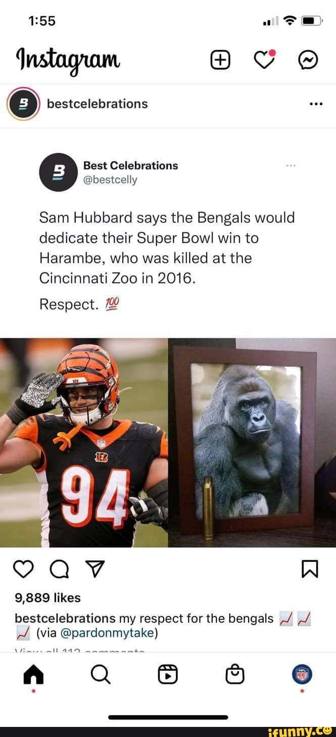 Sam Hubbard wants Bengals to win for Harambe