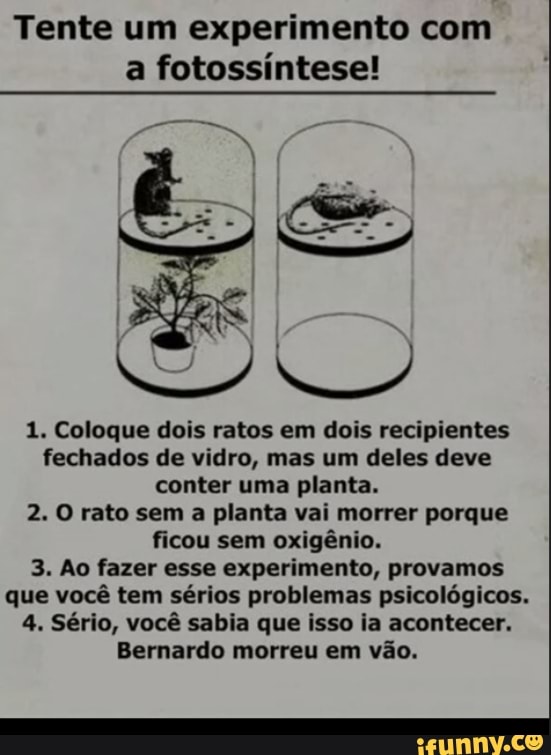 Tente um experimento com
1. Coloque dois ratos em dois recipientes
fechados de vidro, mas um deles deve
conter uma planta.
2. O rato sem a planta vai morrer porque
ficou sem oxigênio.
3. Ao fazer esse experimento, provamos
que você tem sérios problemas psicológicos.
4. Sério, você sabia que isso ia acontecer.
Bernardo morreu em vão.