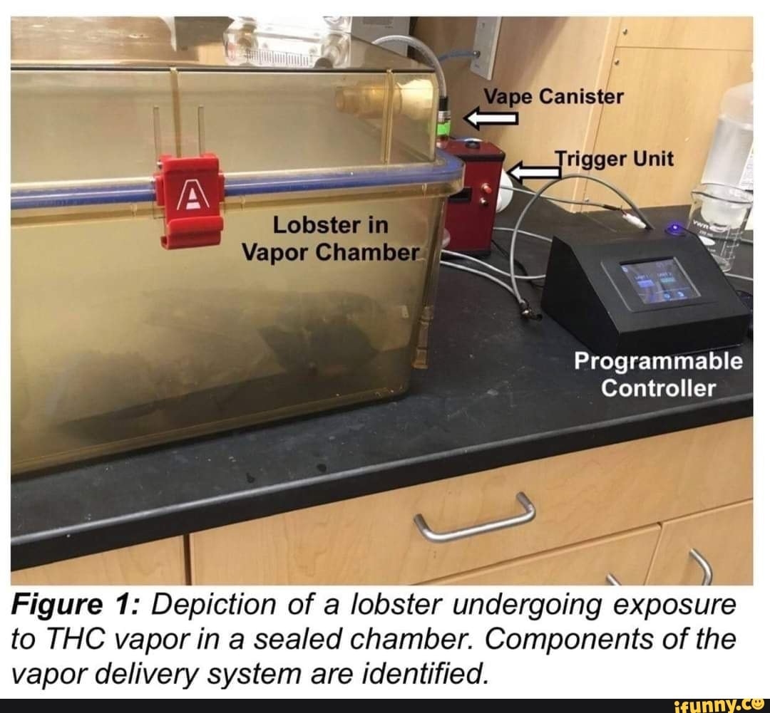 Vape Canister Vapor Unit Programmable Controller Figure 1 Depiction of