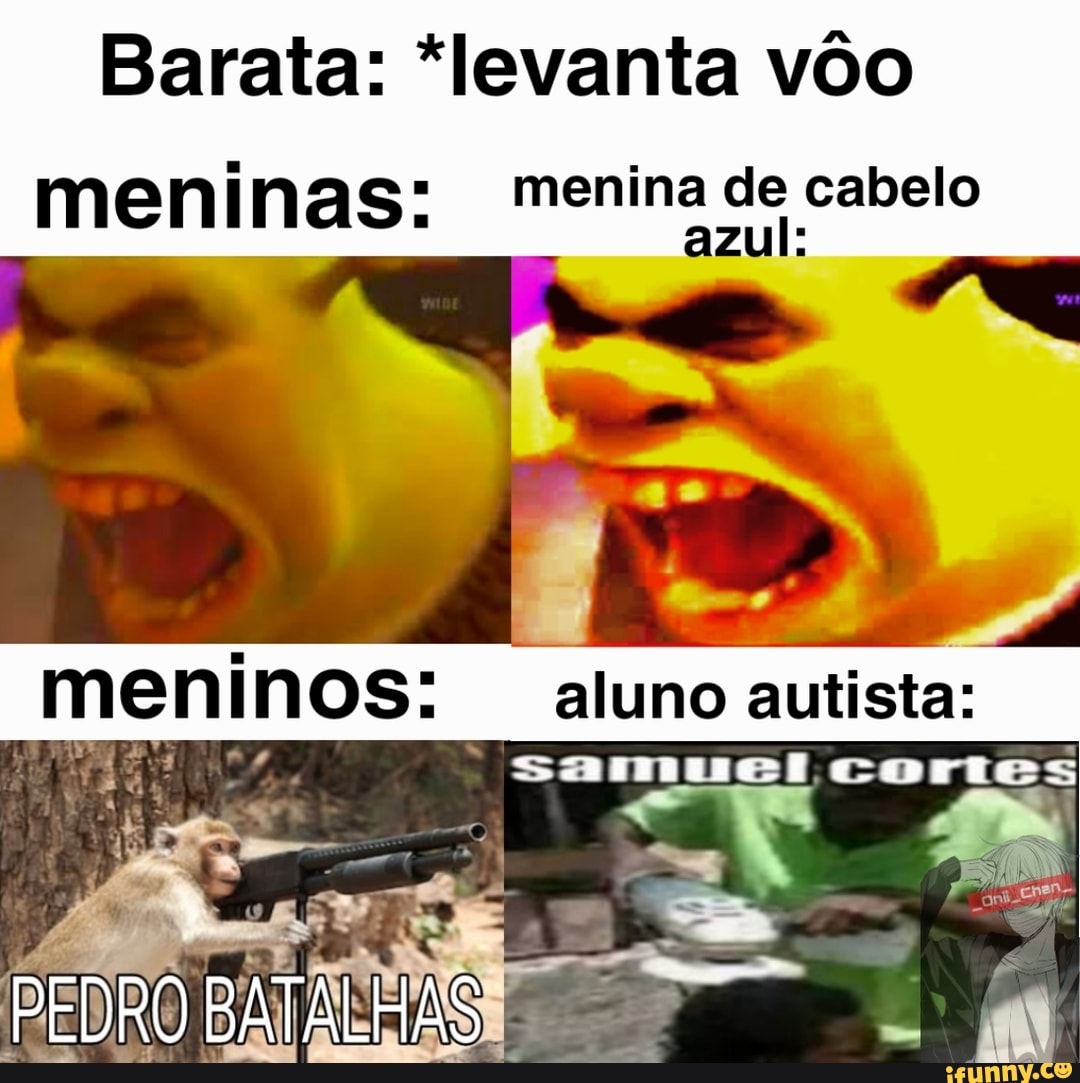 Barata: *levanta vôo meninas: menina de cabelo
meninos: aluno autista:
PEDRO BATALHAS