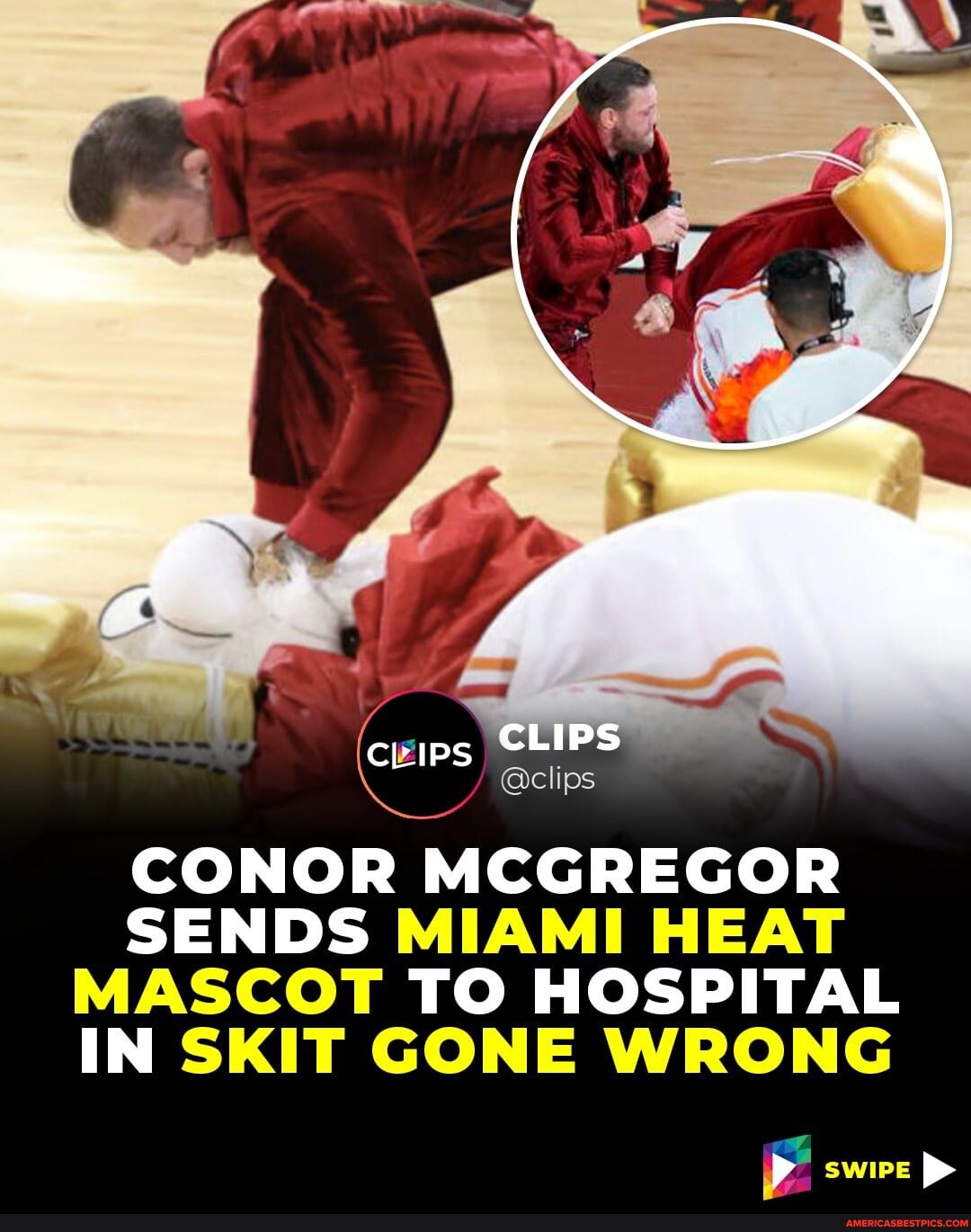 The Miami Heat's Mascot, Burnie, Was Hospitalized After Being Punched ...