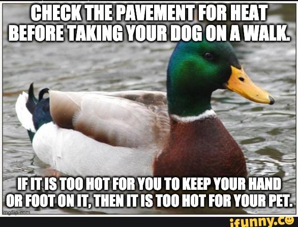 ETE. PAVEMENT FOR HEAT
