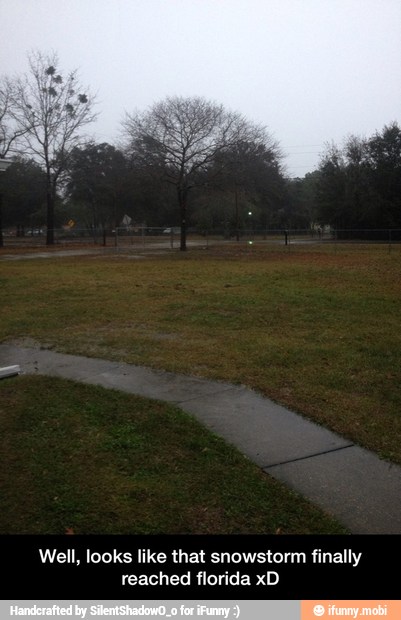Well, looks like that snowstorm finally
reached florida xD - Well, looks like that snowstorm finally reached florida xD