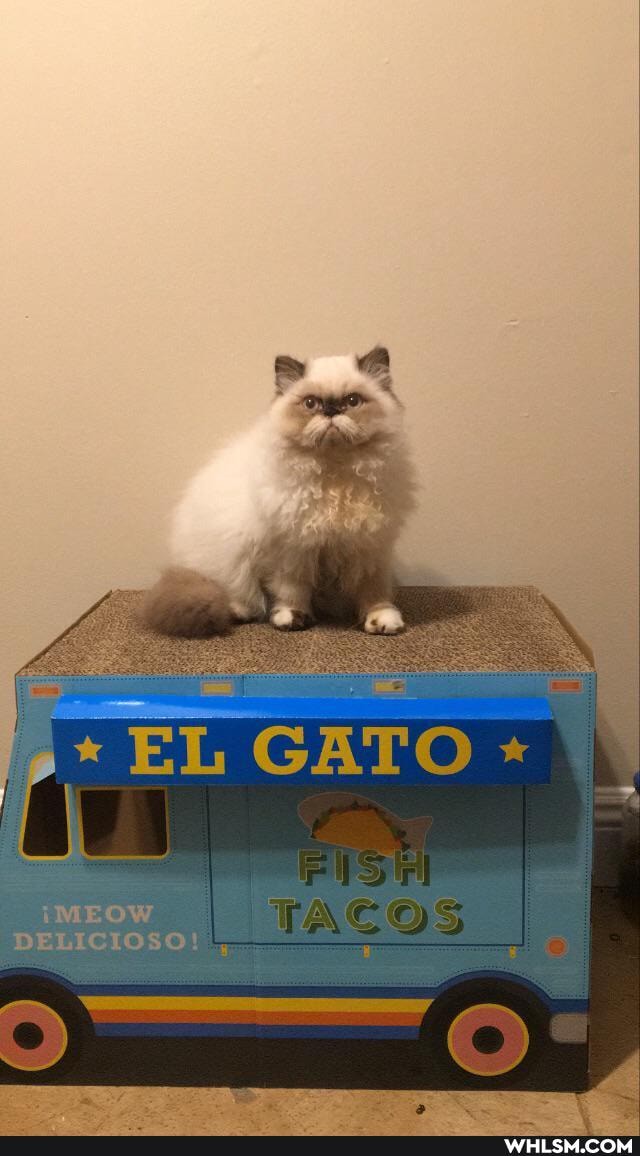 DELICIOSO!