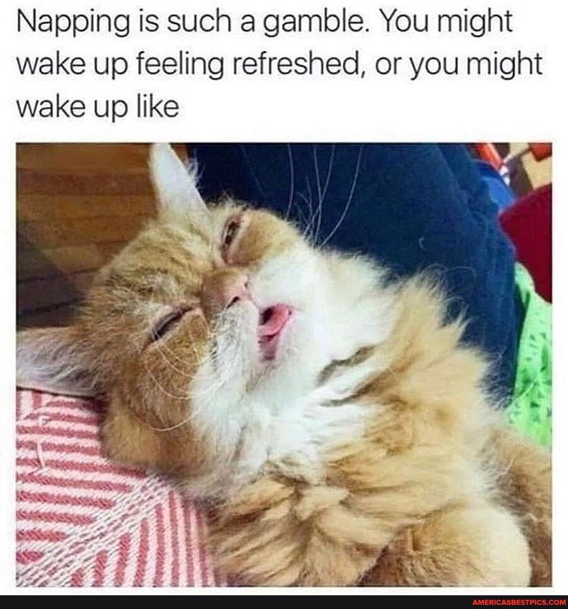 Napping is such a gamble. You might wake up feeling refreshed, or you might wake up like