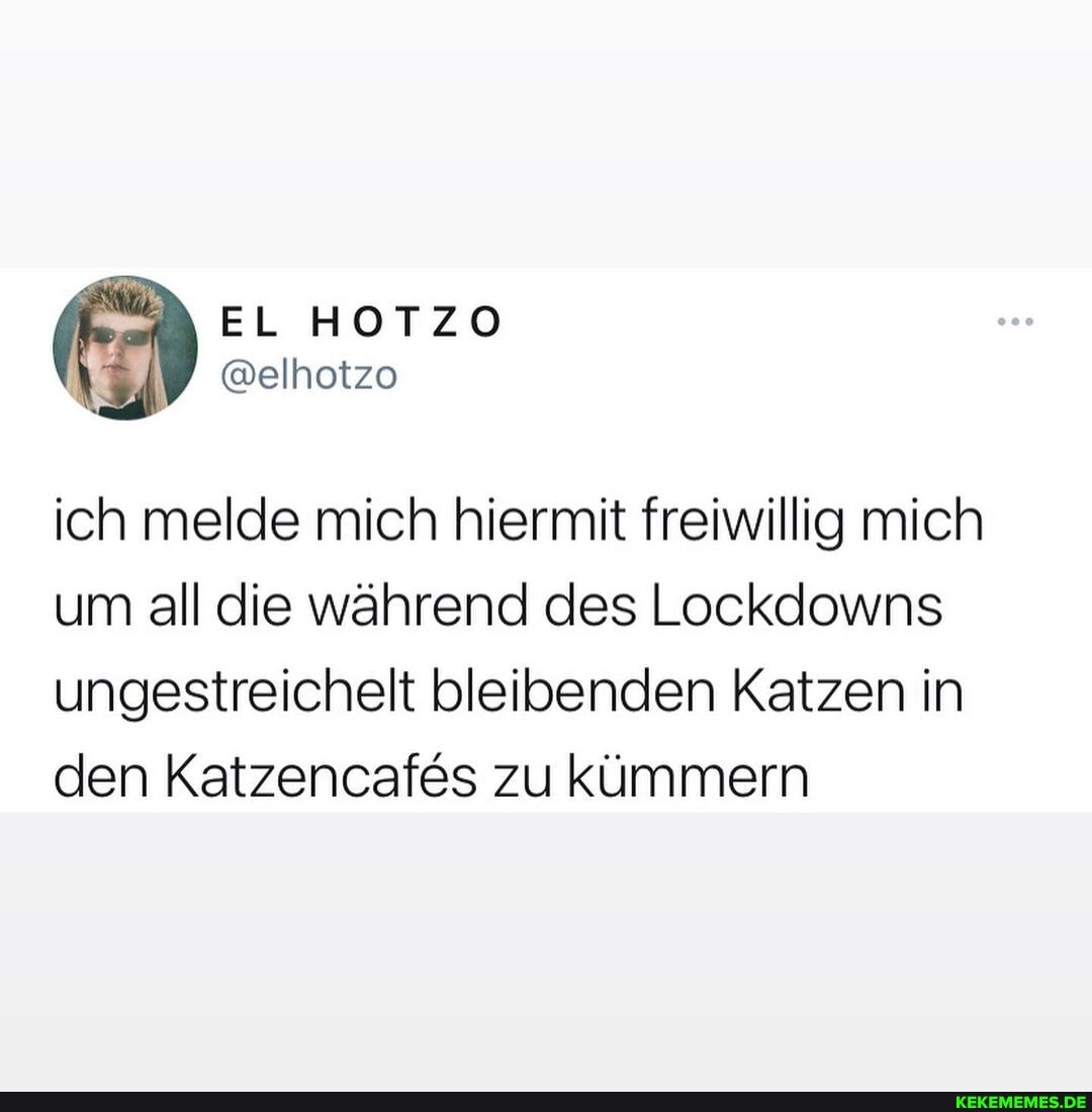 ich melde mich hiermit freiwillig mich um all die während des Lockdowns ungestreichelt bleibenden Katzen in den Katzencafes zu kümmern
