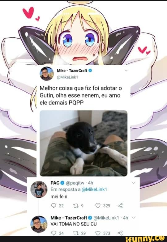 Mike - TazerCraft O MikeLink1
Melhor coisa que fiz foi adotar o
Gutin, olha esse nenem, eu amo ele demais PQPP
PACO Gpegitw
Em resposta a (QMikeLink1 mei fein
Om
Mike - TazerCraft & (OMikeLink?
VAI TOMA NO SEU CU