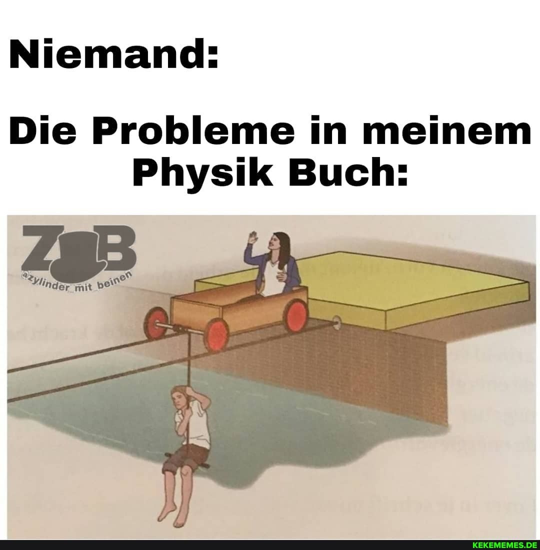 Niemand:
Die Probleme in meinem
Physik Buch:
