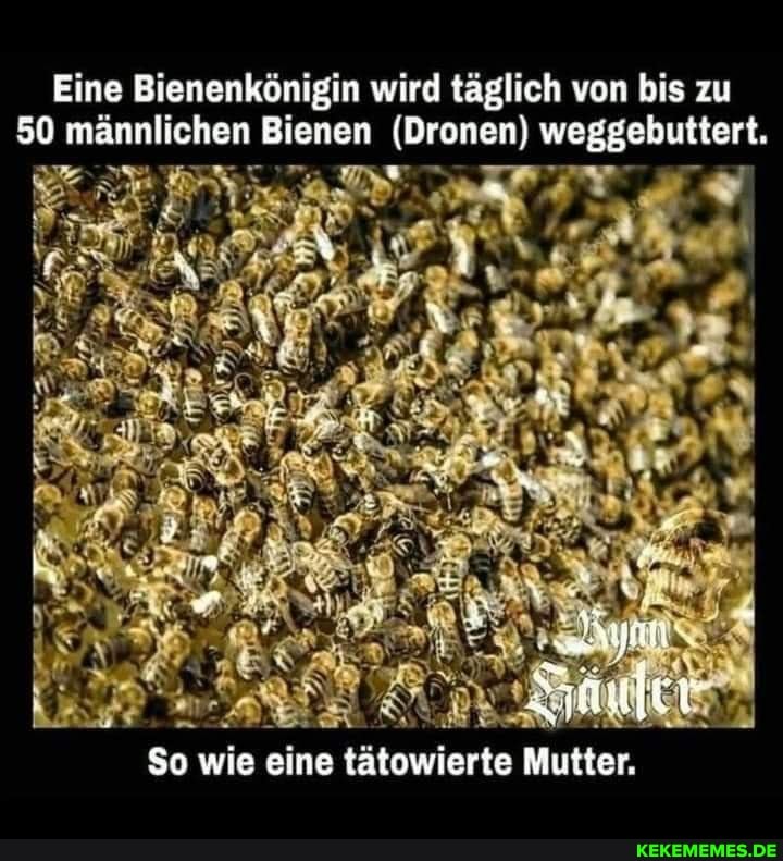 Eine Bienenkönigin wird täglich von bis zu
59 männlichen Bienen (Dronen) weggebuttert.
er
So wie eine tätowierte Mutter.