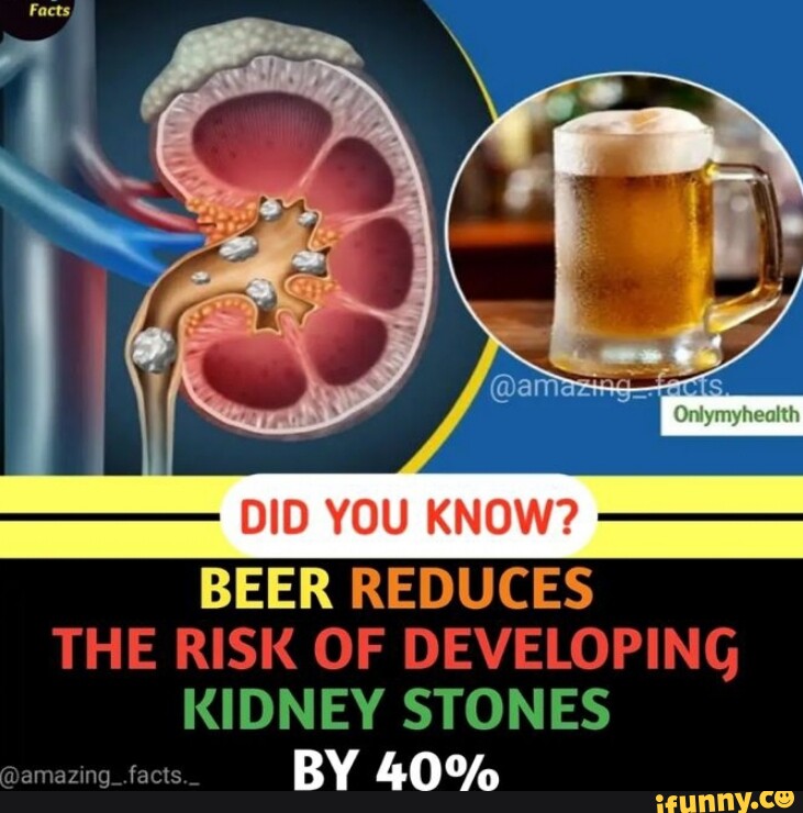 DID YOU KNOW BEER REDUCES THE RISK OF DEVELOPING KIDNEY STONES Amazing   E555cad714304c27ae4de2d9490a80e562b30f2ba18d2676bb7ccfdf6b2b7e0c 1 