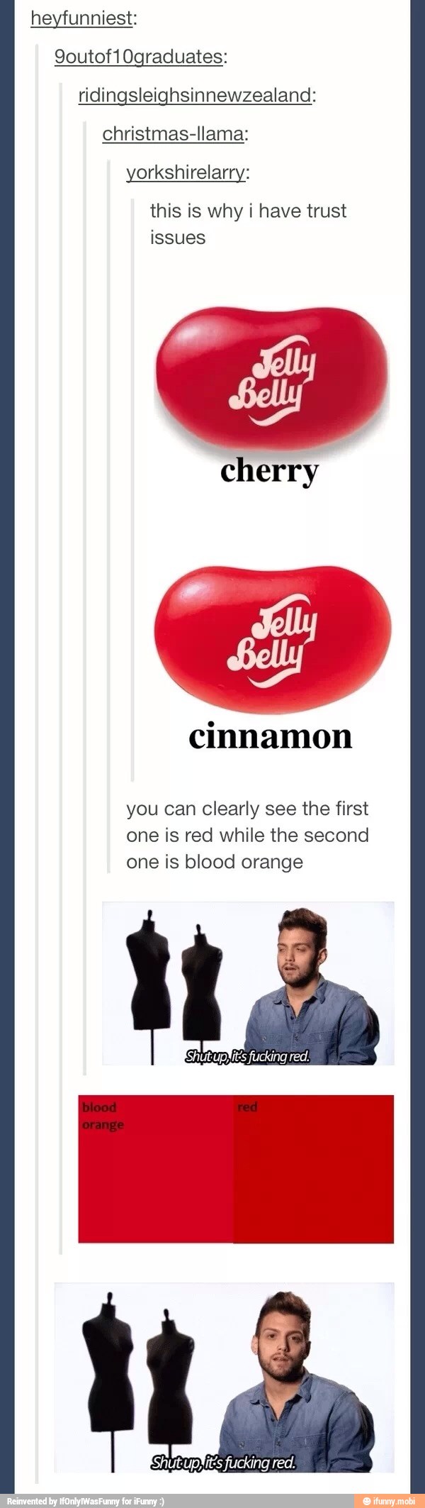 heyfunniest:
ridingsleighsinnewzealand:
yorkshirelarry:
cherry
cinnamon
you can clearly see the first
one is red while the second