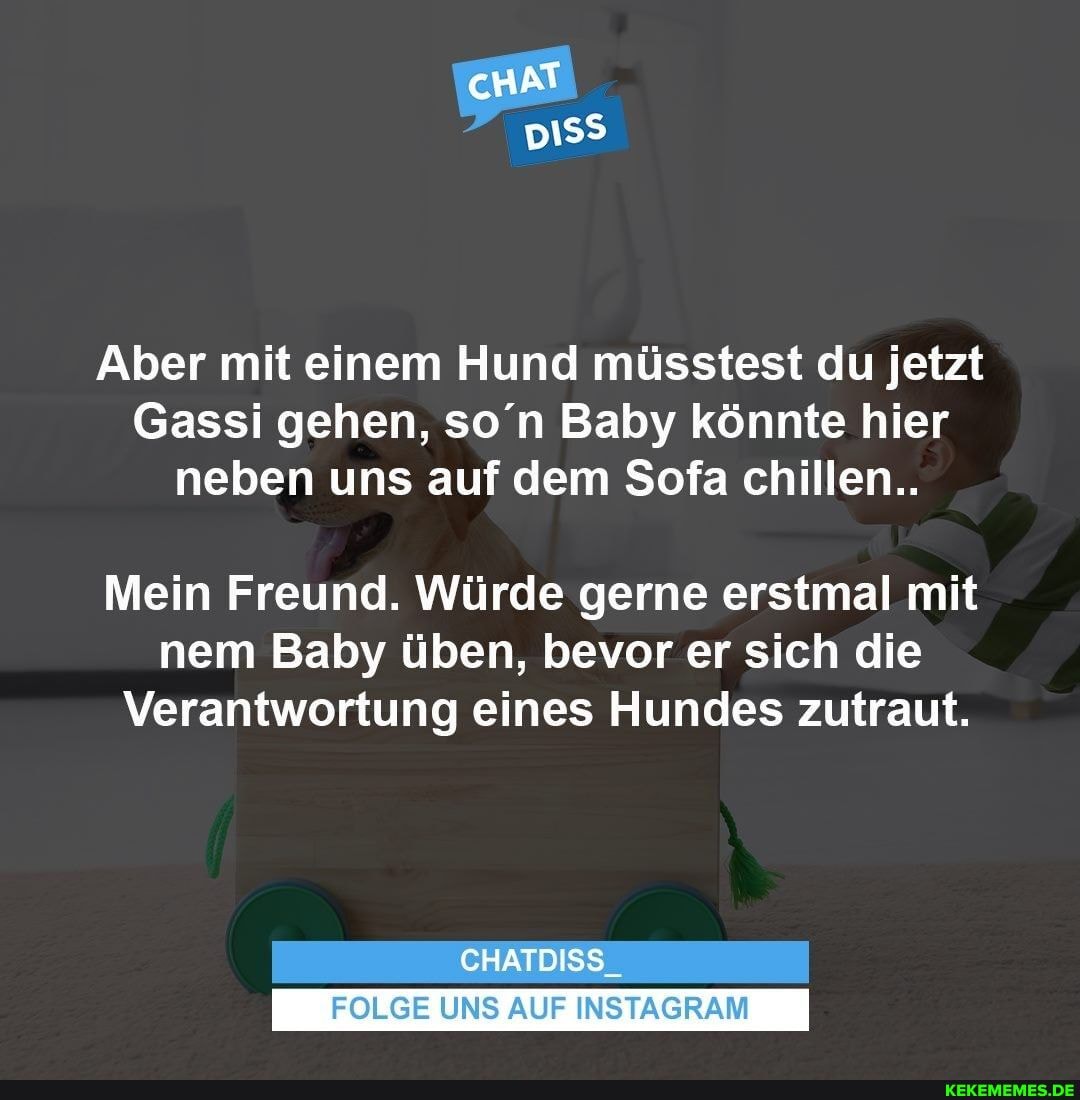 Aber mit einem Hund müsstest du jetzt
Gassi gehen, so'n Baby könnte hier neben uns auf dem Sofa chillen..
Mein Freund. Würde gerne erstmal mit nem Baby üben, bevor er sich die
Verantwortung eines Hundes zutraut.
CHATDISS_
FOLGE UNS AUF INSTAGRAM