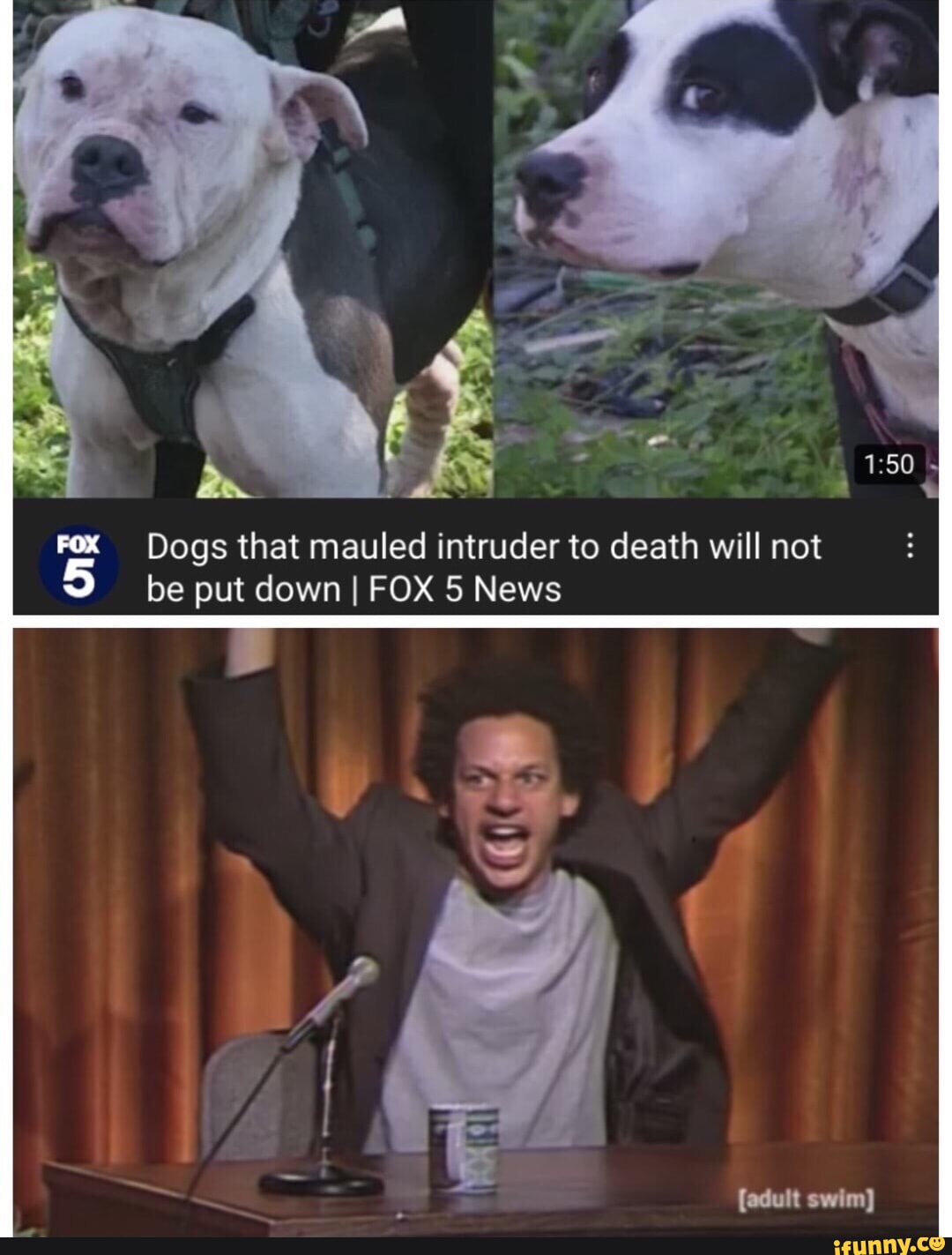 Fox Dogs that mauled intruder to death will not be put down I FOX 5 ...