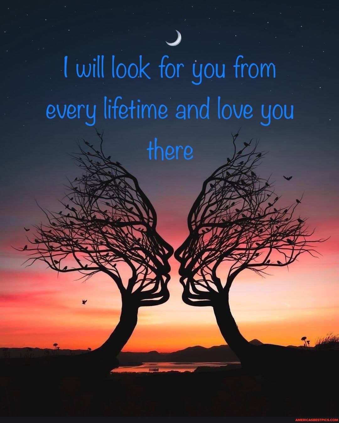will look for you from
every lifetime and love you
there