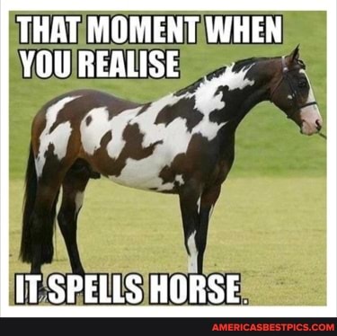 THAT MOMENT WHEN YOU REALISE
IT SPELLS HORSE.