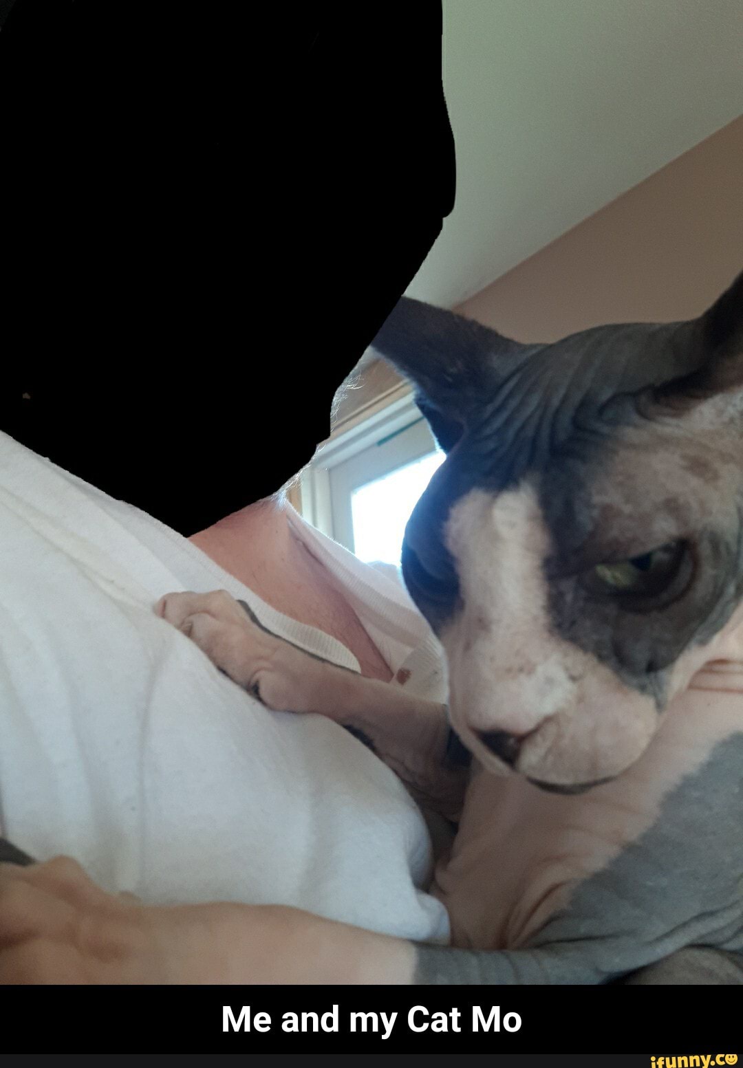 Me and my Cat Mo - Me and my Cat Mo