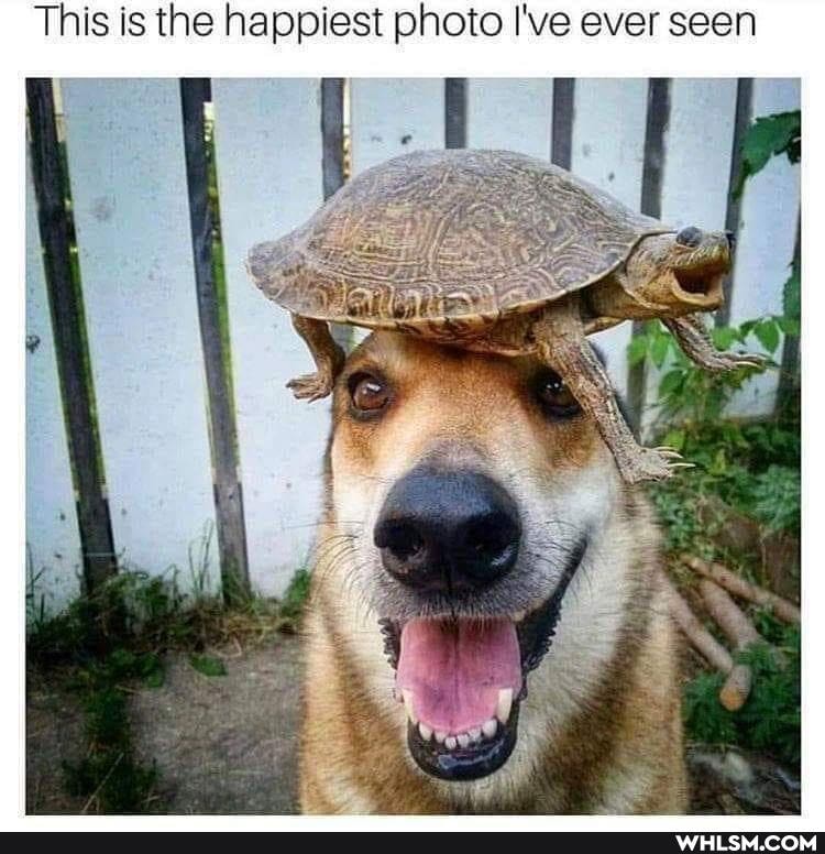 This is the happiest photo I've ever seen