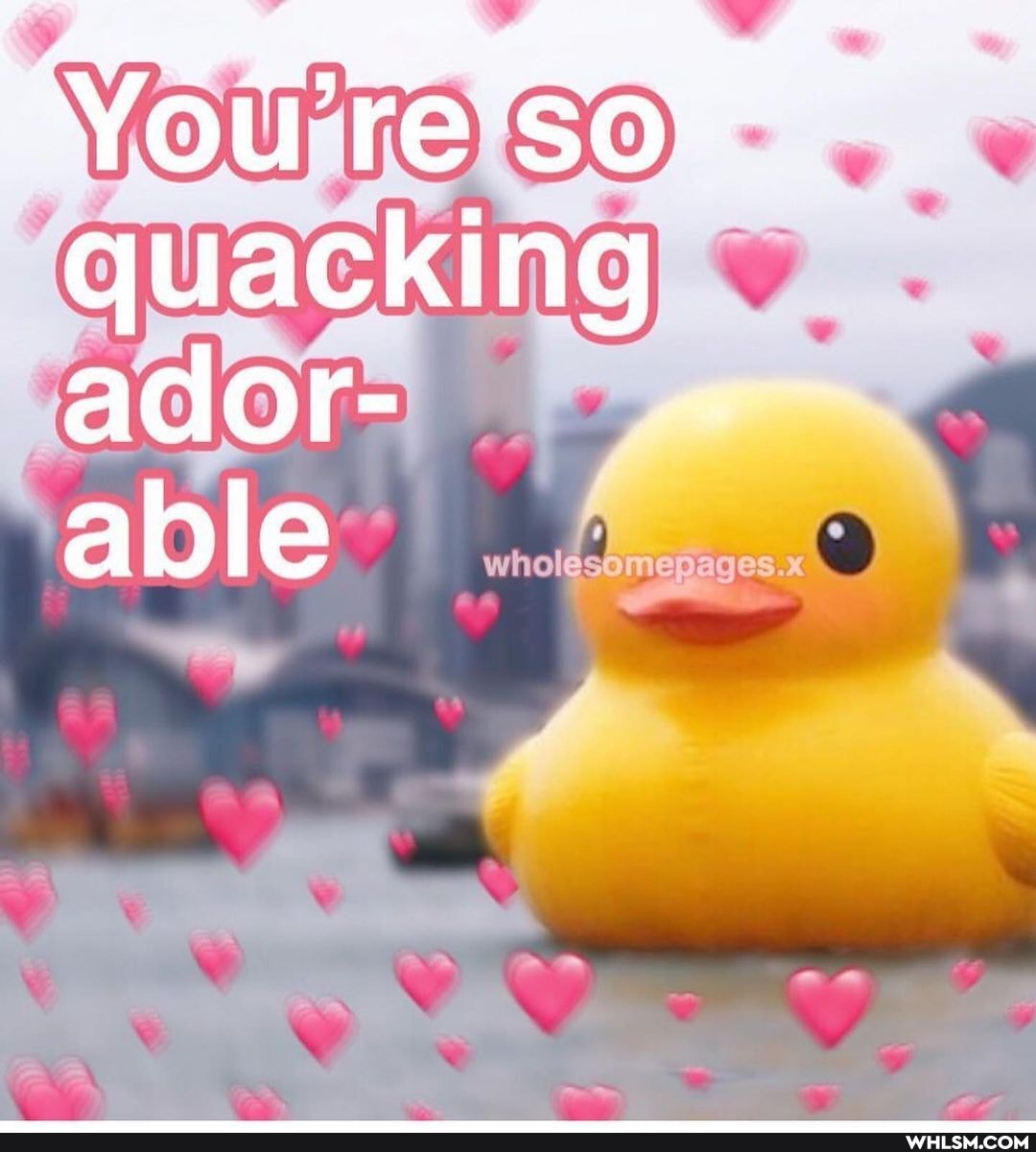 SO
quacking ador- able