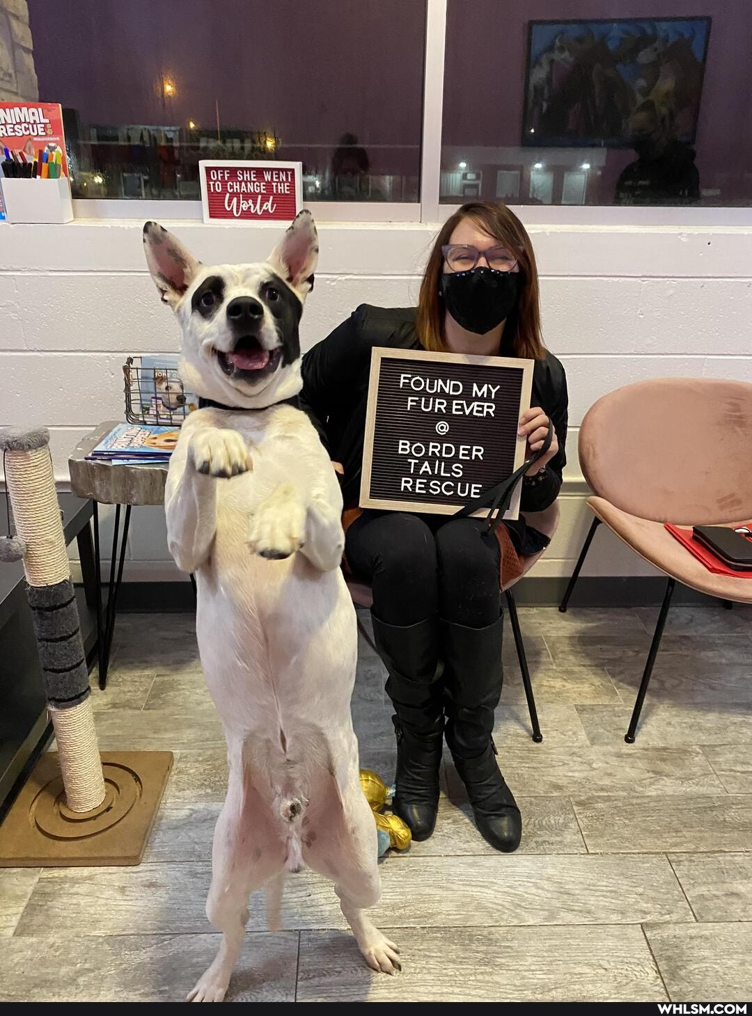 OFF SWE
CHANGE THE
FOUND My
FUR EVER
BORDER
TAILS RESCUE