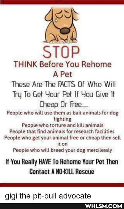 STOP
THINK Before You Rehome
A Pet
These Are The FACTS Of Who Will
Try To Get Your Pet If You Give It
Cheap Or Free...
People who will use them as bait animals for dog fighting
Peopte who torture and kill animals
People that find animals for research facilities
People who get your animal free or cheap then sell iton
People who will breed your dog mercilessly
If You Really HAVE To Rehome Your Pet Then
Contact NO-KILL Rescue
aniai the nit-hiill advocate