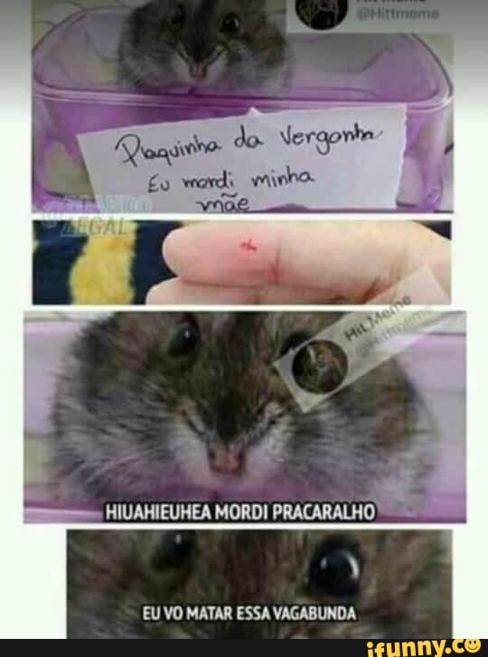 sê
HIUAHIEUHEA MORDI PRACARALHO
EU VO MATAR ESSA VAGABUNDA