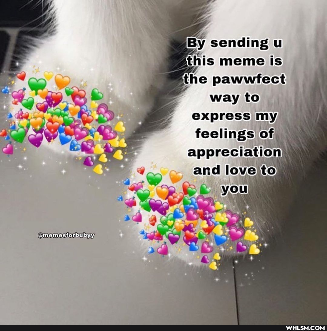 By sending u this meme is the pawwfect way to express my, feelings of appreciation and love to