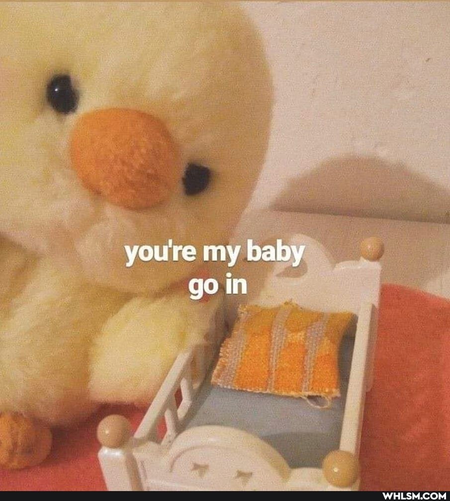 you're my baby go tn
