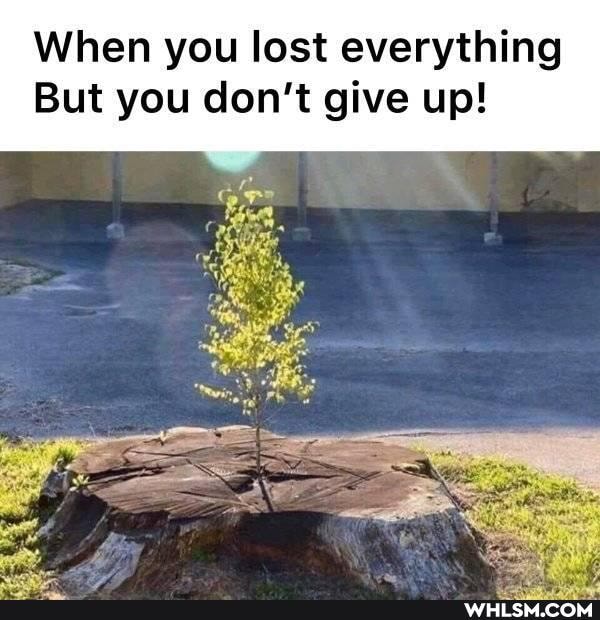 When you lost everything
But you don't give up!