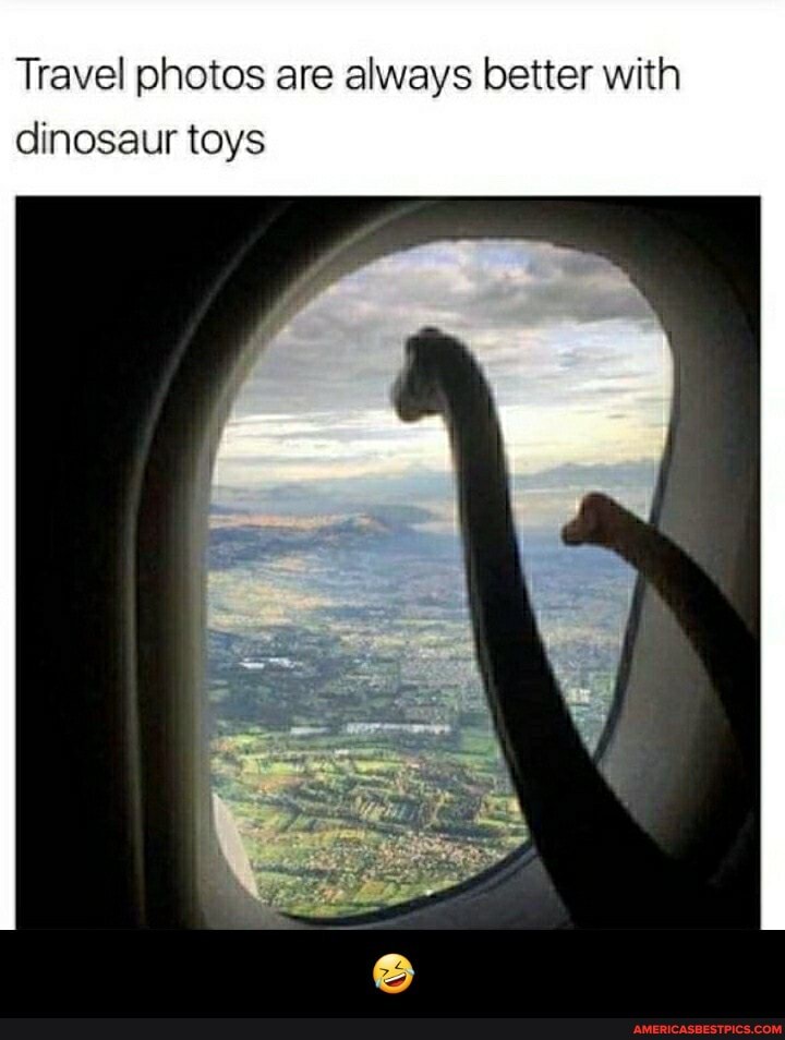 Travel photos are always better with dinosaur toys - đŸ¤£