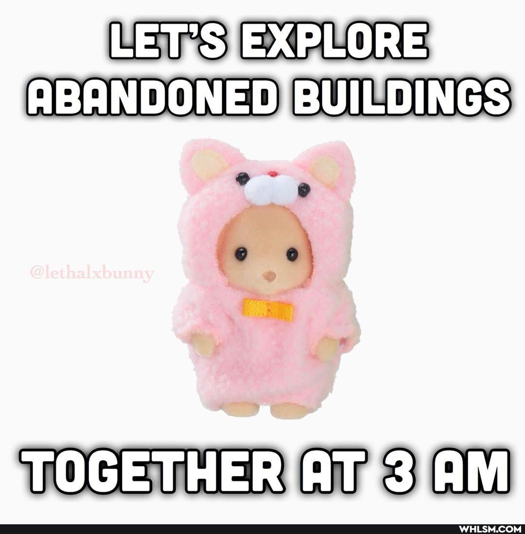 EXPLORE LaWs
ABANDONED BUILDINGS
@lethalxbunny
TOGETHER AT,3 AM