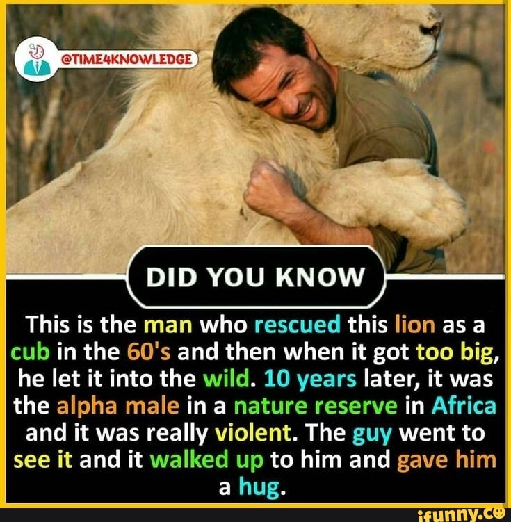 DID YOU KNOW This is the man who rescued this lion as a cub in the 60's ...