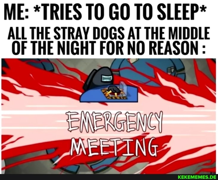 ME: *TRIES TO GO TO SLEEP*
ALL THE STRAY DOGS AT THE MIDDLE OF THE NIGHT FOR NO REASON :
MEETING