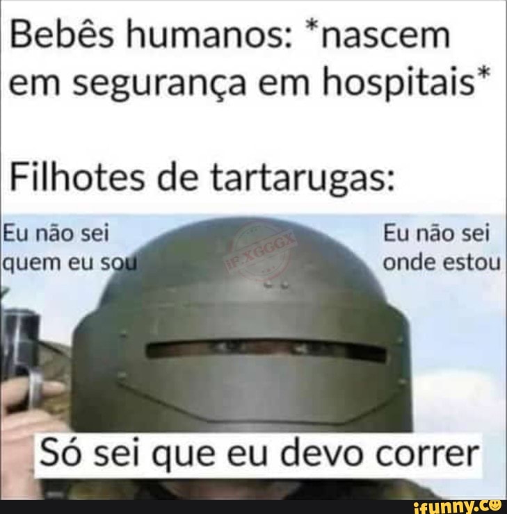Bebês humanos: *nascem em segurança em hospitais*
Filhotes de tartarugas:
Eu não sei Eu não sei quem eu s: onde estou
'Só sei que eu devo correr