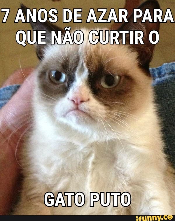 7 ANOS DE AZAR PARA QUE NÃO CURTIR O
GATO PUTO