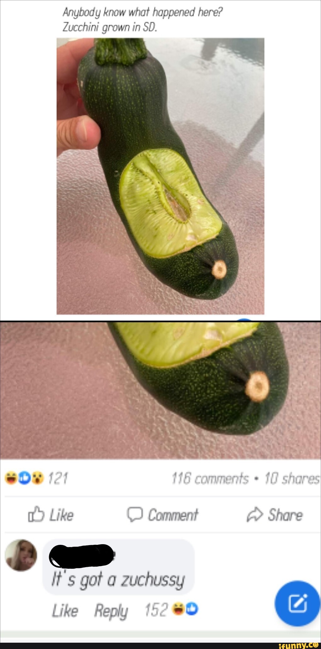 Zuchussy memes. Best Collection of funny Zuchussy pictures on iFunny